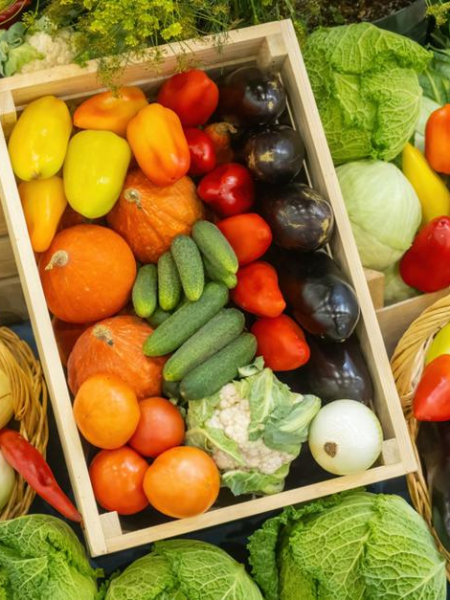 obraz_2025-09-26_195840473