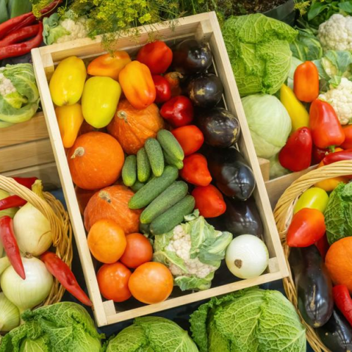 obraz_2025-09-26_195840473